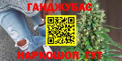 крисы Малгобек