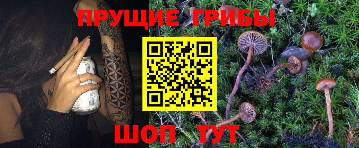 Бердск  Галлюциногенные грибы MAGIC MUSHROOMS  Вход с VPN 